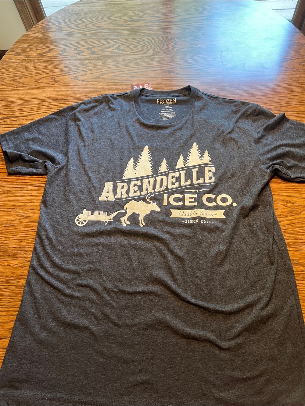 Disney Arendelle Ice Co. Men's Graphic Tee in Charcoal and White